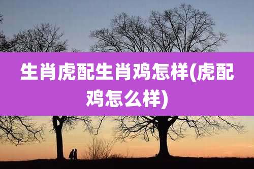 生肖虎配生肖鸡怎样(虎配鸡怎么样)