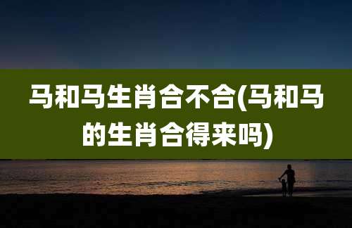 马和马生肖合不合(马和马的生肖合得来吗)