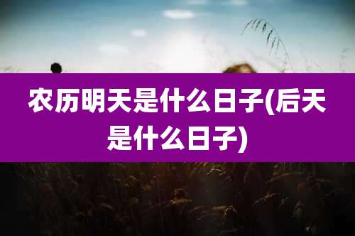 农历明天是什么日子(后天是什么日子)