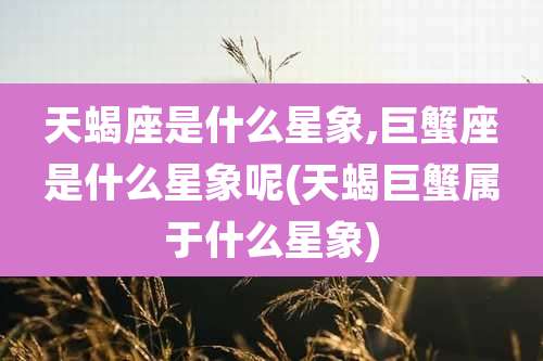 天蝎座是什么星象,巨蟹座是什么星象呢(天蝎巨蟹属于什么星象)