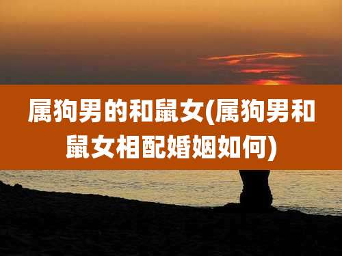 属狗男的和鼠女(属狗男和鼠女相配婚姻如何)