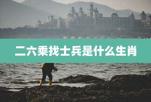 二六乘找士兵是什么生肖