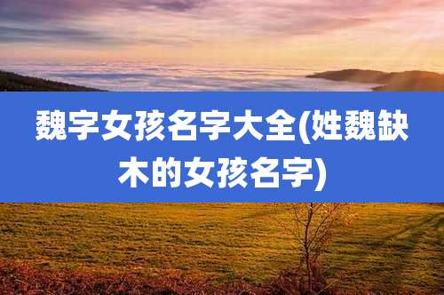 魏字女孩名字大全(姓魏缺木的女孩名字)