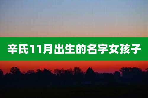 辛氏11月出生的名字女孩子