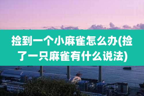 捡到一个小麻雀怎么办(捡了一只麻雀有什么说法)