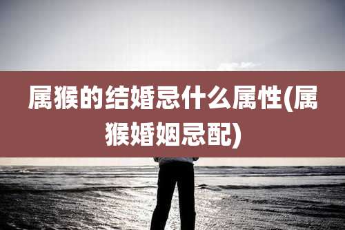 属猴的结婚忌什么属性(属猴婚姻忌配)