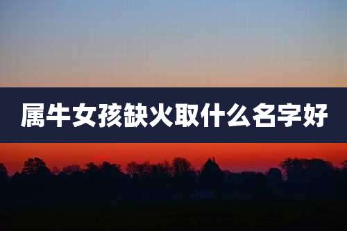属牛女孩缺火取什么名字好