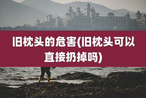 旧枕头的危害(旧枕头可以直接扔掉吗)