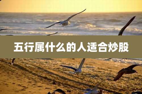 五行属什么的人适合炒股