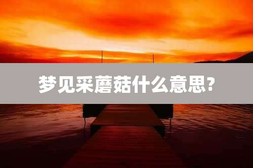 梦见采蘑菇什么意思?