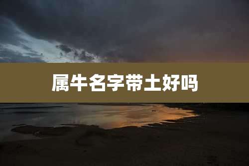 属牛名字带土好吗
