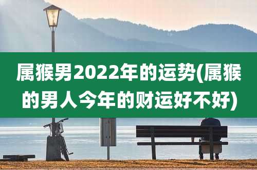 属猴男2022年的运势(属猴的男人今年的财运好不好)