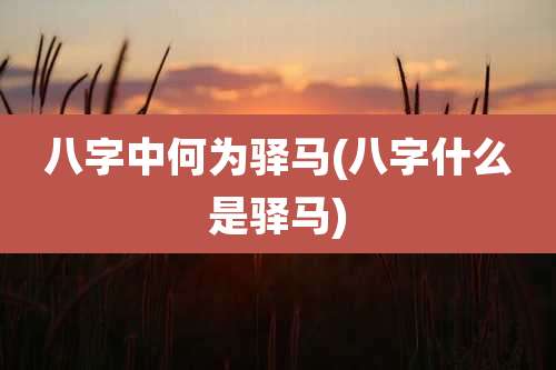 八字中何为驿马(八字什么是驿马)