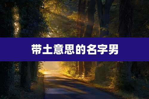 带土意思的名字男