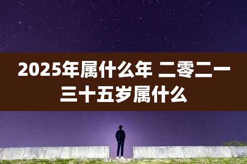 2025年属什么年 二零二一三十五岁属什么