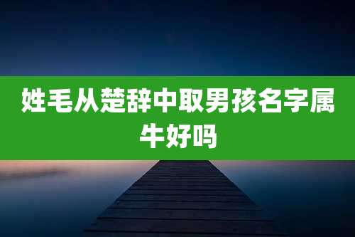 姓毛从楚辞中取男孩名字属牛好吗