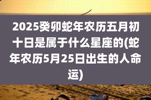 2025癸卯蛇年农历五月初十日是属于什么星座的(蛇年农历5月25日出生的人命运)