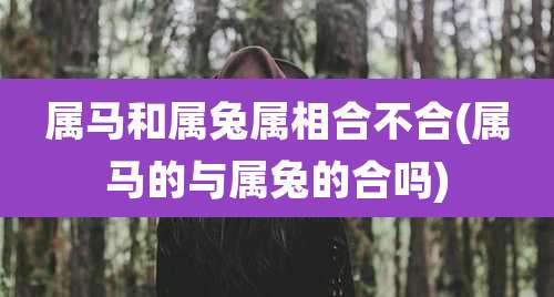 属马和属兔属相合不合(属马的与属兔的合吗)