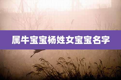 属牛宝宝杨姓女宝宝名字