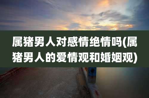 属猪男人对感情绝情吗(属猪男人的爱情观和婚姻观)