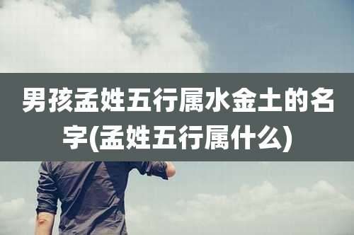 男孩孟姓五行属水金土的名字(孟姓五行属什么)