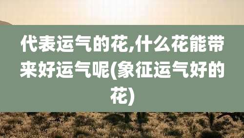 代表运气的花,什么花能带来好运气呢(象征运气好的花)