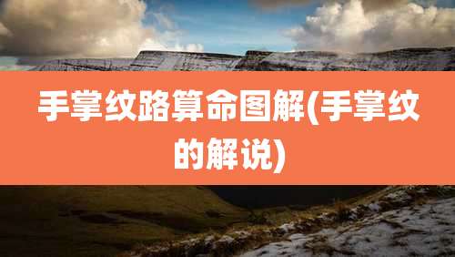 手掌纹路算命图解(手掌纹的解说)