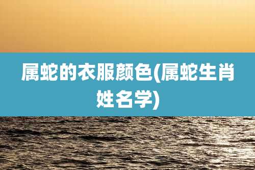 属蛇的衣服颜色(属蛇生肖姓名学)