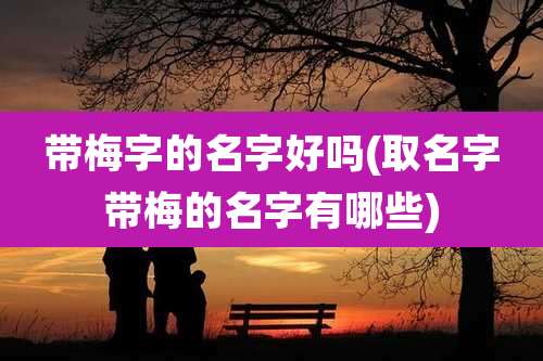 带梅字的名字好吗(取名字带梅的名字有哪些)