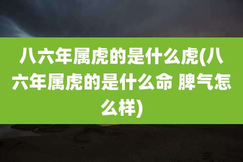 八六年属虎的是什么虎(八六年属虎的是什么命 脾气怎么样)