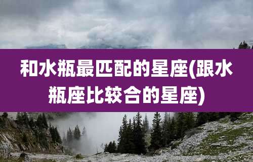 和水瓶最匹配的星座(跟水瓶座比较合的星座)