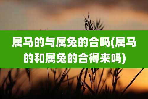 属马的与属兔的合吗(属马的和属兔的合得来吗)