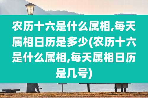 农历十六是什么属相,每天属相日历是多少(农历十六是什么属相,每天属相日历是几号)