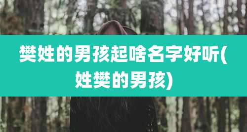 樊姓的男孩起啥名字好听(姓樊的男孩)