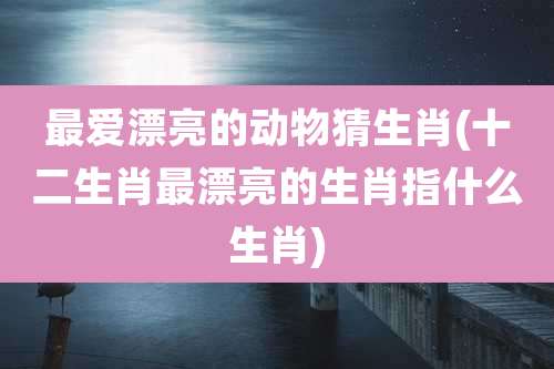 最爱漂亮的动物猜生肖(十二生肖最漂亮的生肖指什么生肖)