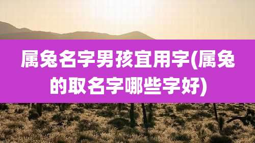 属兔名字男孩宜用字(属兔的取名字哪些字好)