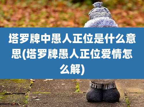 塔罗牌中愚人正位是什么意思(塔罗牌愚人正位爱情怎么解)