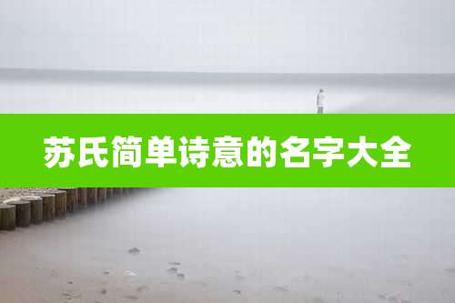 苏氏简单诗意的名字大全