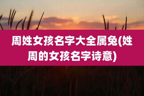 周姓女孩名字大全属兔(姓周的女孩名字诗意)