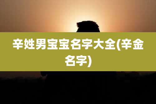 辛姓男宝宝名字大全(辛金名字)