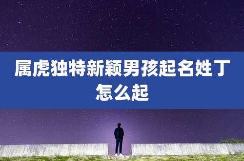 属虎独特新颖男孩起名姓丁怎么起