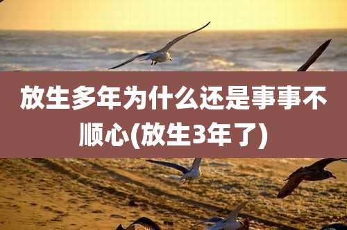 放生多年为什么还是事事不顺心(放生3年了)