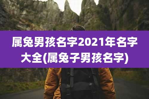 属兔男孩名字2021年名字大全(属兔子男孩名字)