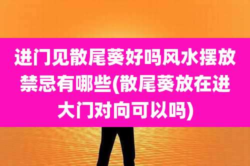 进门见散尾葵好吗风水摆放禁忌有哪些(散尾葵放在进大门对向可以吗)