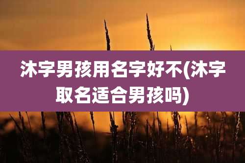 沐字男孩用名字好不(沐字取名适合男孩吗)