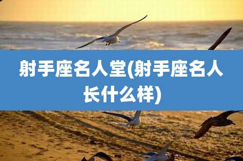 射手座名人堂(射手座名人长什么样)