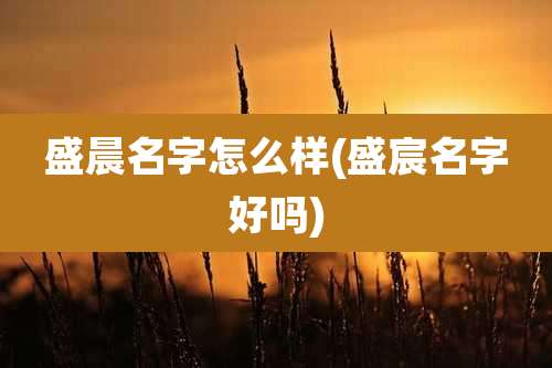 盛晨名字怎么样(盛宸名字好吗)
