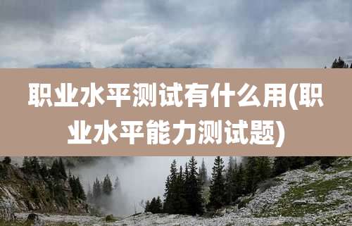 职业水平测试有什么用(职业水平能力测试题)
