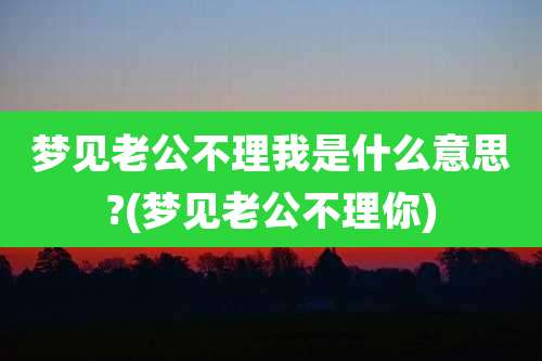 梦见老公不理我是什么意思?(梦见老公不理你)