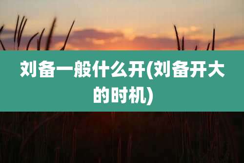 刘备一般什么开(刘备开大的时机)